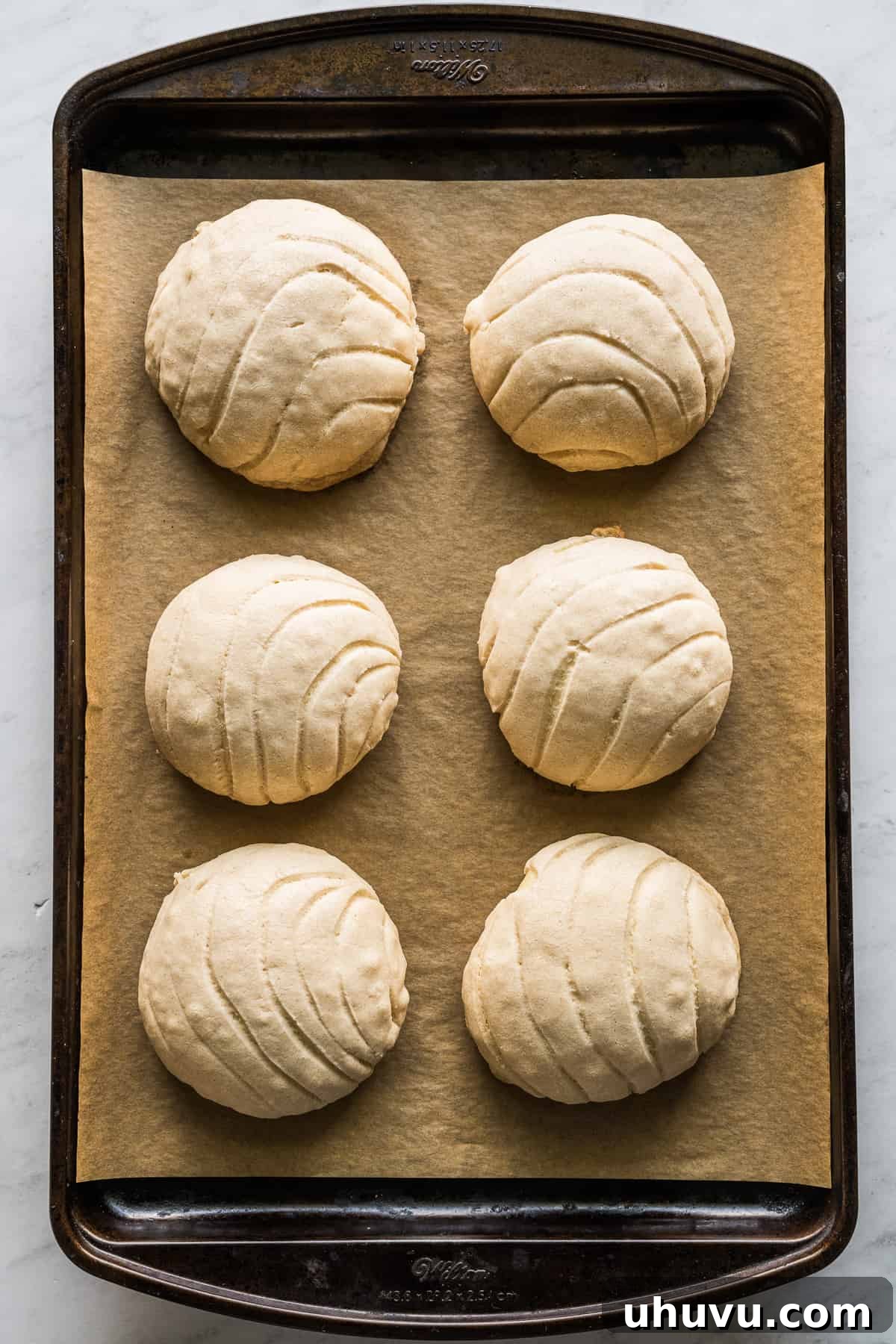 Concha Sunrise Sandwich 8 Freshly baked maple conchas on a baking sheet lined with parchment paper, golden and inviting.