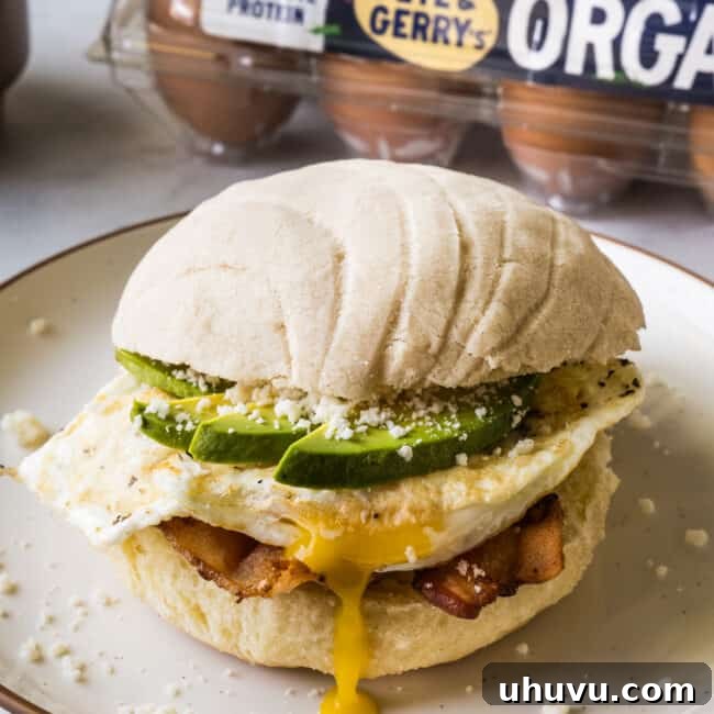 A concha breakfast sandwich on a plate made from bacon, a fried egg, avocado, cotija cheese, and a maple concha bun.