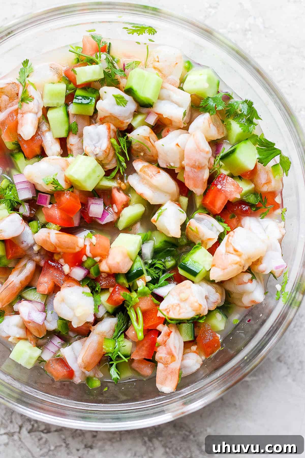 Ceviche The Zesty Seafood Sensation 2 A bowl of ceviche made with shrimp, avocado, tomatoes, cilantro, red onion, and citrus juices.