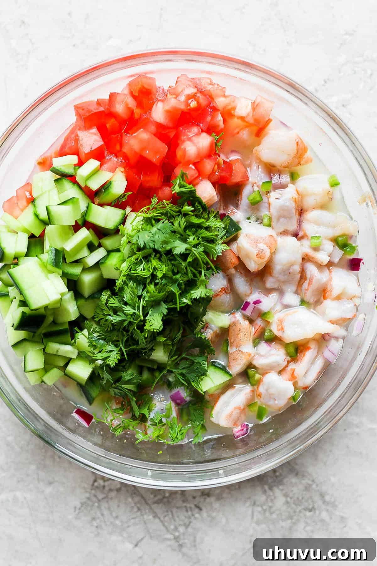 Ceviche The Zesty Seafood Sensation 7 Cilantro, cucumber, tomato, and shrimp in a bowl of ceviche.