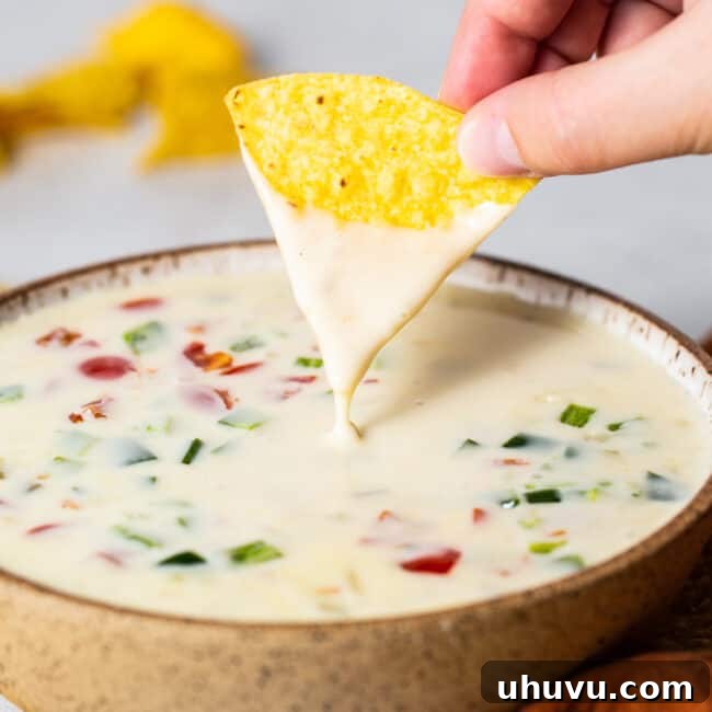 A bowl of queso blanco with a tortilla chip being dipped into it.