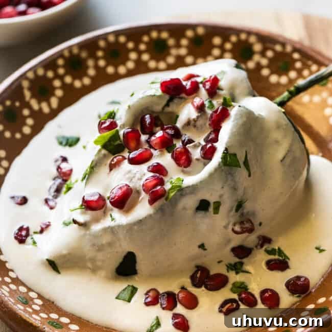 A chile en nogada on a plate garnished with pomegranate seeds and parsley.