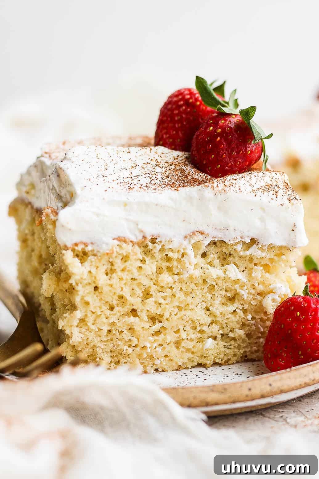 September's Kitchen Showdown 2 A beautifully presented slice of Tres Leches Cake on a white plate, generously topped with fluffy whipped cream and vibrant fresh strawberries, symbolizing a delightful dessert experience.