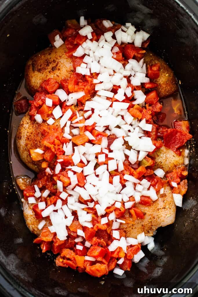 Chicken breasts, canned tomatoes, diced onion, and taco seasoning placed directly into a crockpot.