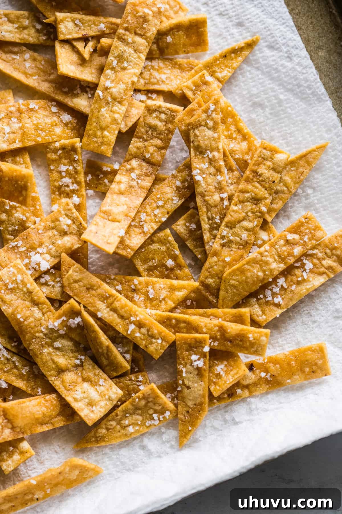Tortilla Crisps 8 Freshly fried tortilla strips, sprinkled with flaky sea salt, cooling on a baking sheet lined with paper towels.