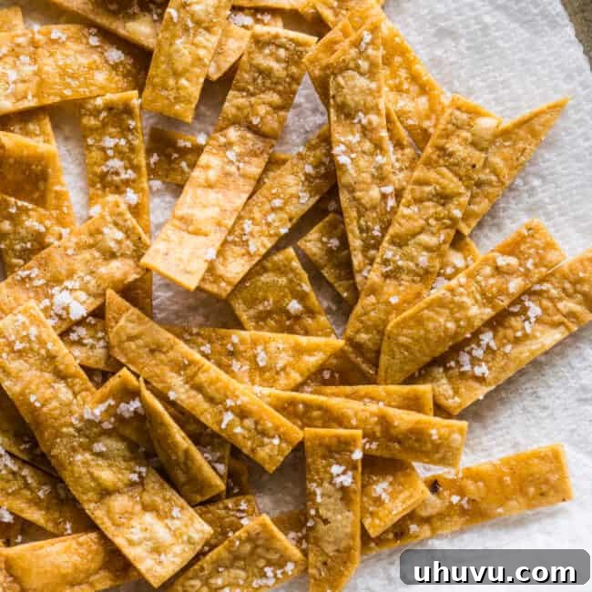 Tortilla strips seasoned with flaky sea salt.