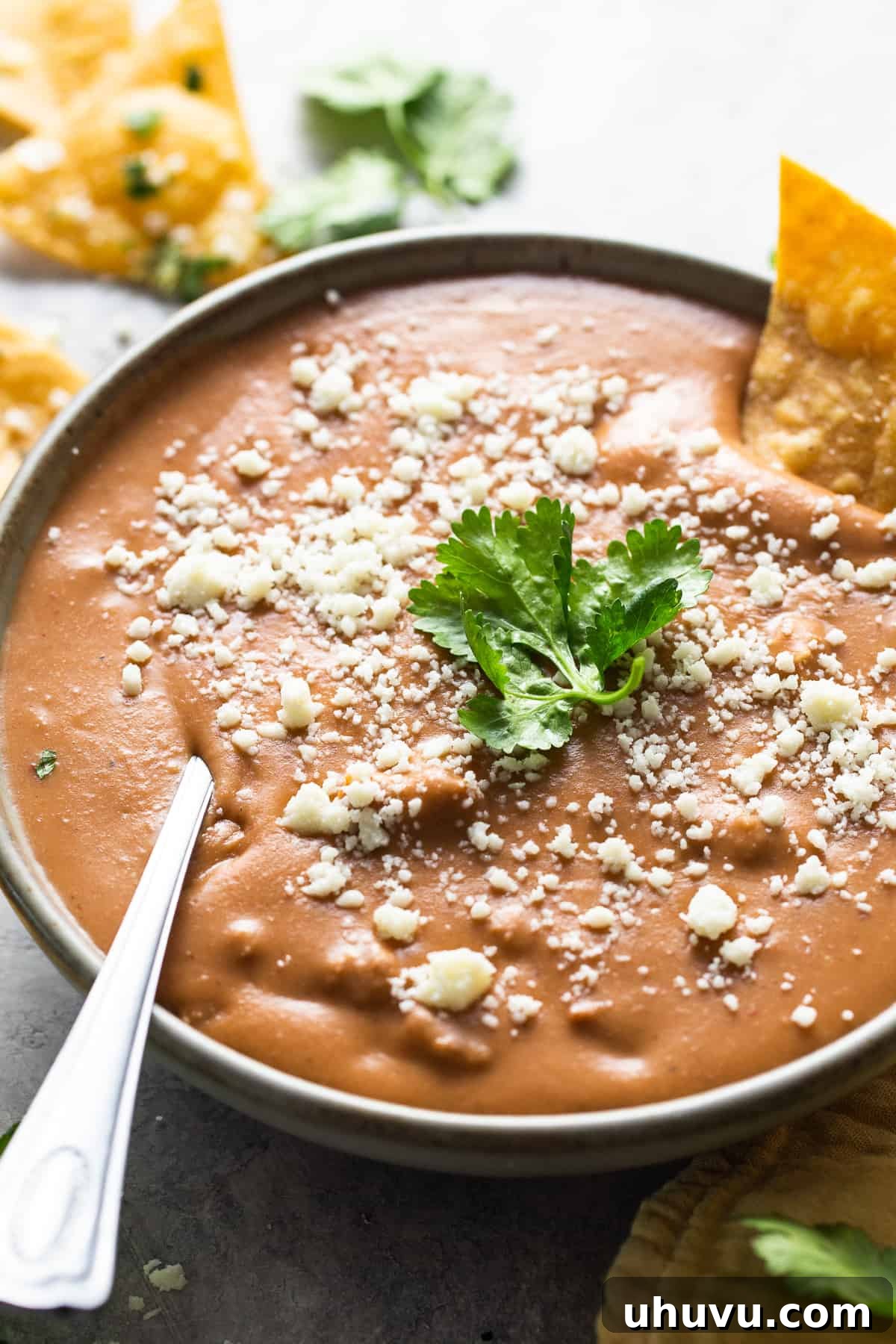Decadent Pork Beans 2 Frijoles puercos in a bowl garnished with cotija cheese and cilantro.