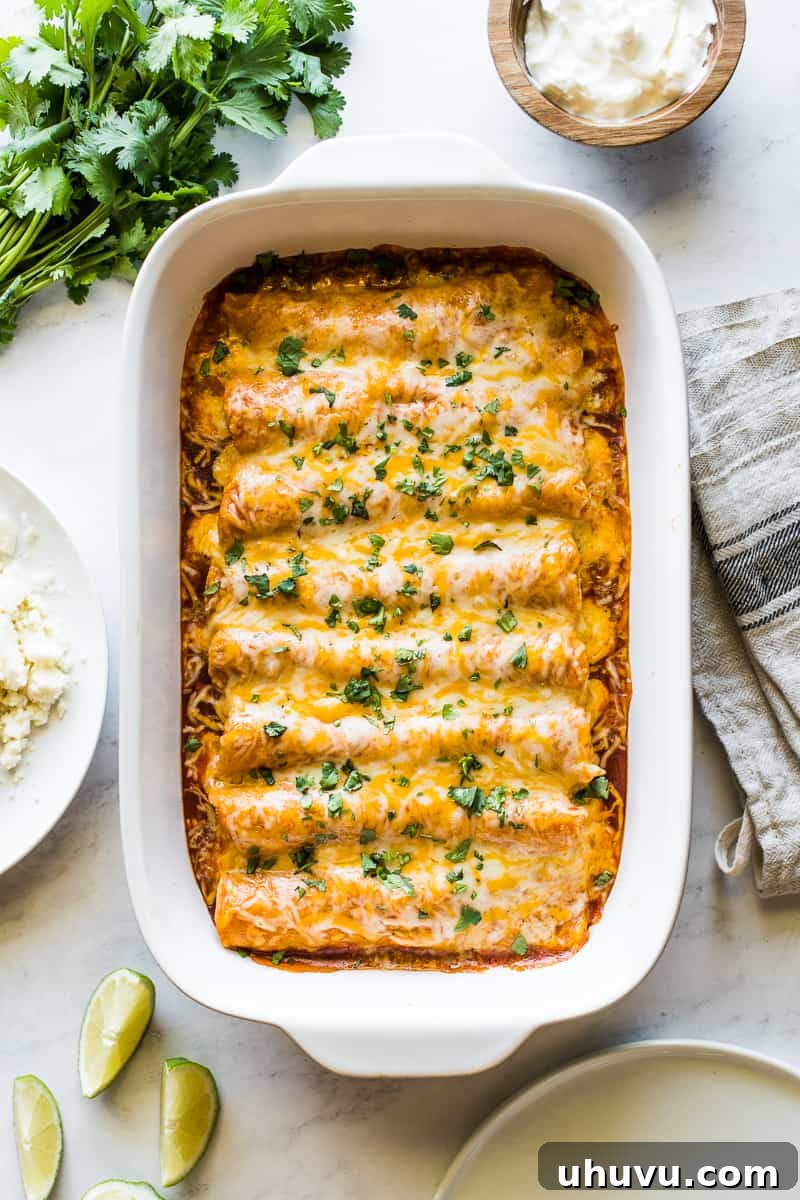 Red chicken enchiladas in a baking dish with melted cheese and chopped cilantro.