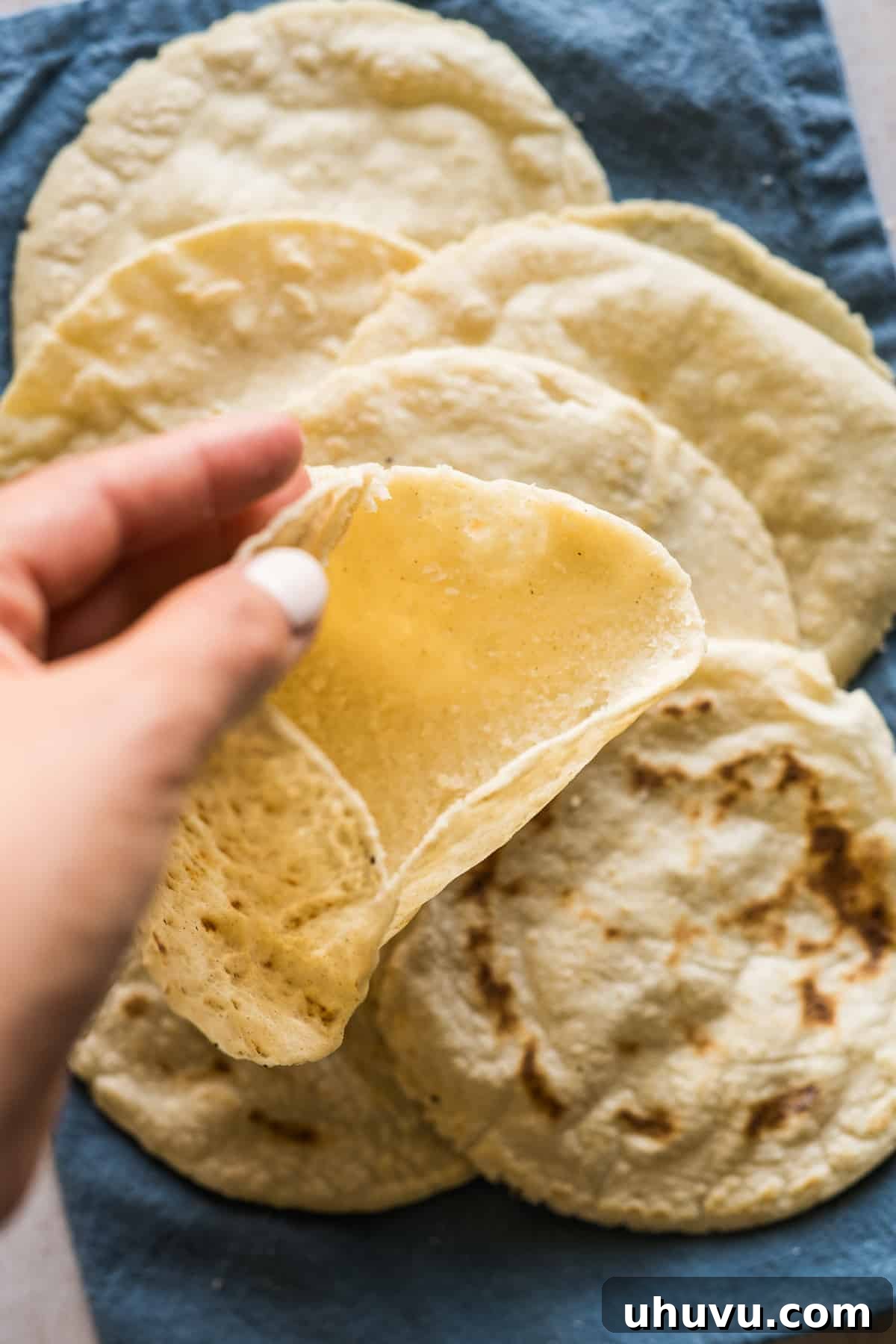 A gordita sliced open, revealing a perfect pocket for filling.