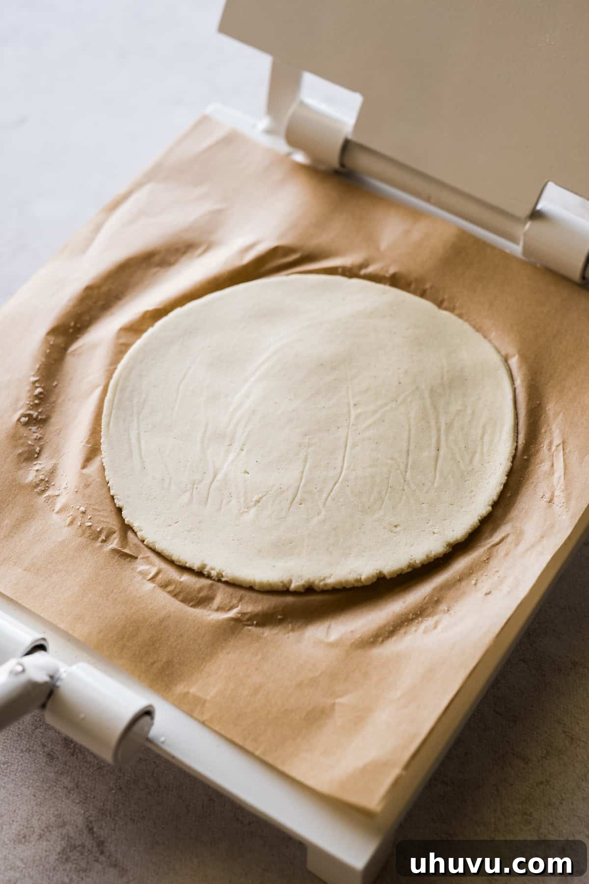 Pressed and flattened masa dough, perfectly round, on a tortilla press.