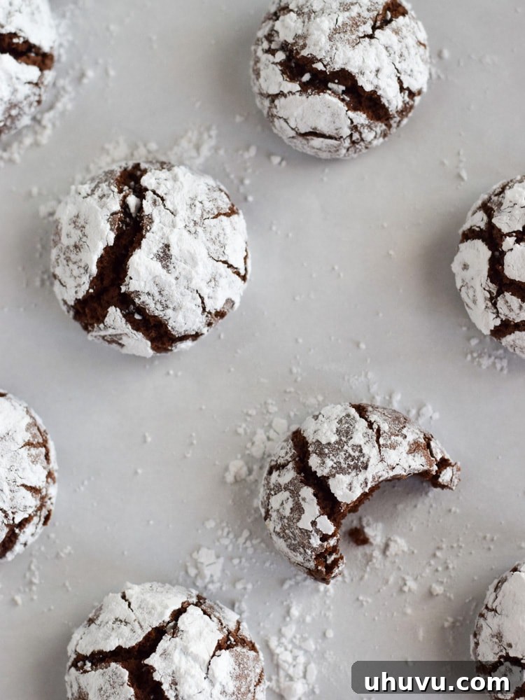 Velvet Chocolate Crinkles 2 Festive Mexican Chocolate Crinkle Cookies covered in powdered sugar, ready for holiday celebrations.