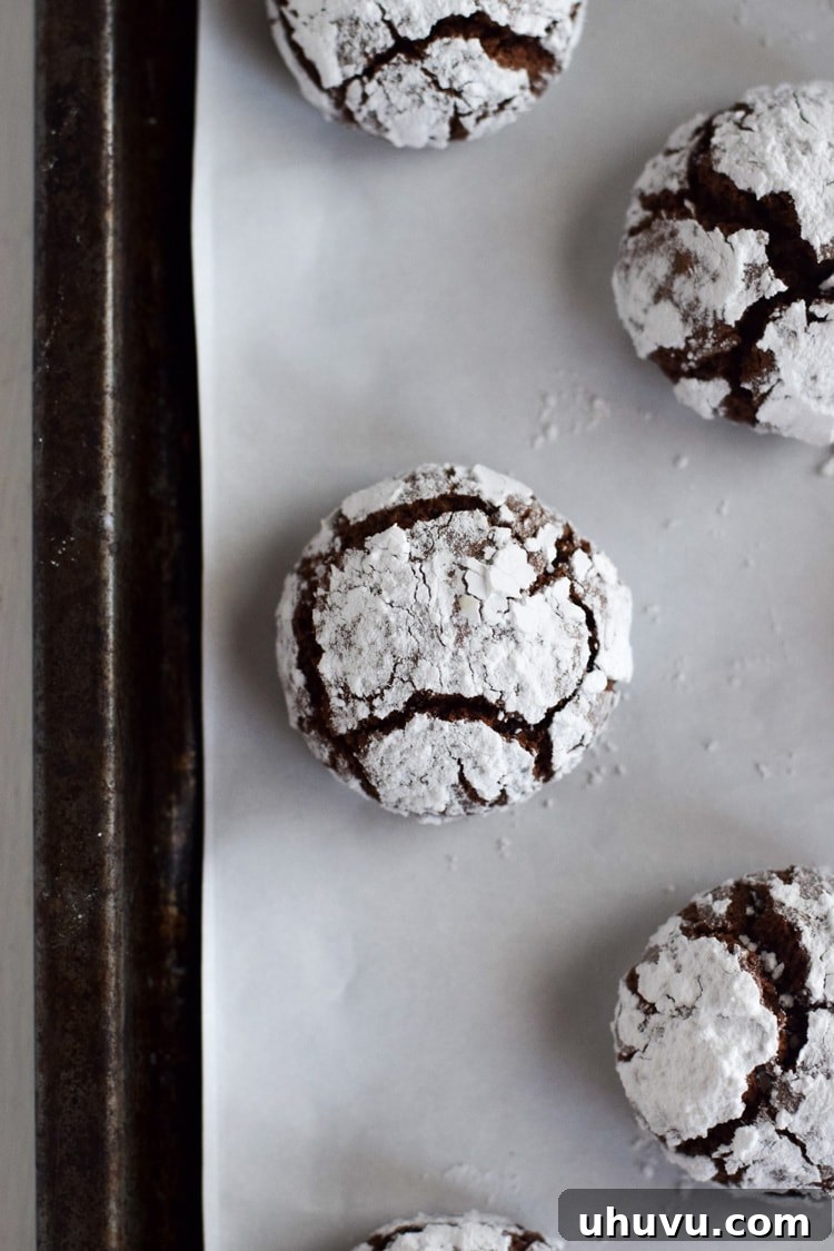 Velvet Chocolate Crinkles 3 A single Mexican chocolate crinkle cookie on a baking sheet, showcasing its powdered sugar coating.