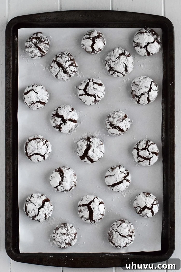 Velvet Chocolate Crinkles 4 A baking sheet filled with freshly baked Mexican Chocolate Crinkle Cookies, dusted generously with powdered sugar.