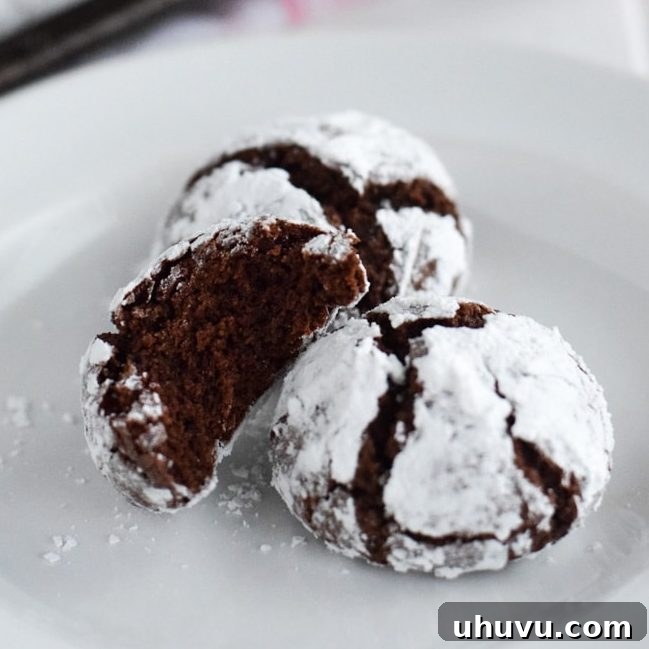 Velvet Chocolate Crinkles 5 A close-up of a fudgy and intensely chocolaty crinkle cookie, highlighting its rich texture.
