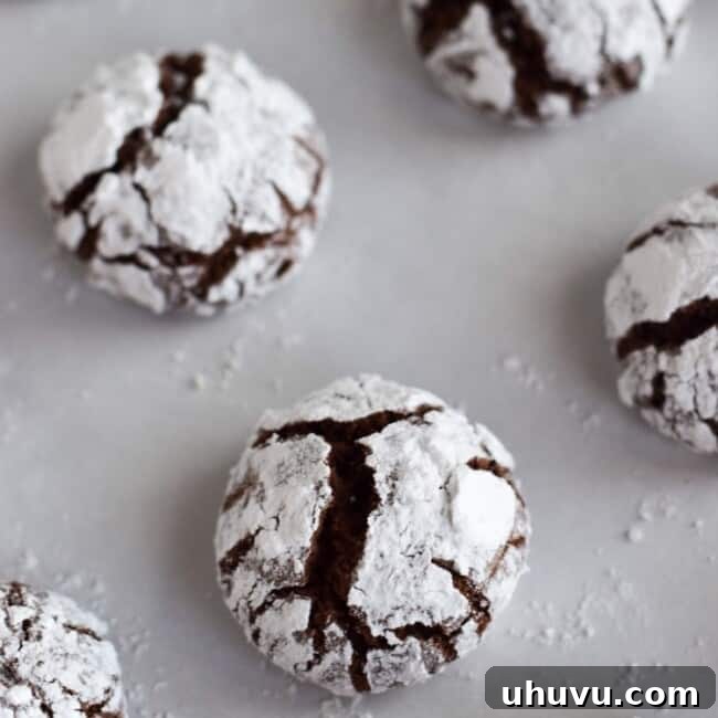 Velvet Chocolate Crinkles 6 Classic holiday Chocolate Crinkle Cookies with a twist! Made with coconut oil and Abuelita Mexican chocolate, these festive cookies are soft, chewy and covered in powdered sugar.