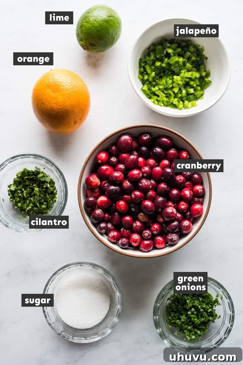 Tangy Cranberry Salsa 3 Fresh ingredients for cranberry salsa, including cranberries, jalapeños, cilantro, and green onions.