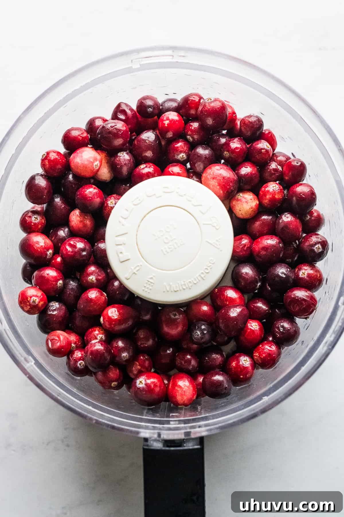 Tangy Cranberry Salsa 4 Fresh cranberries in a food processor ready for chopping.