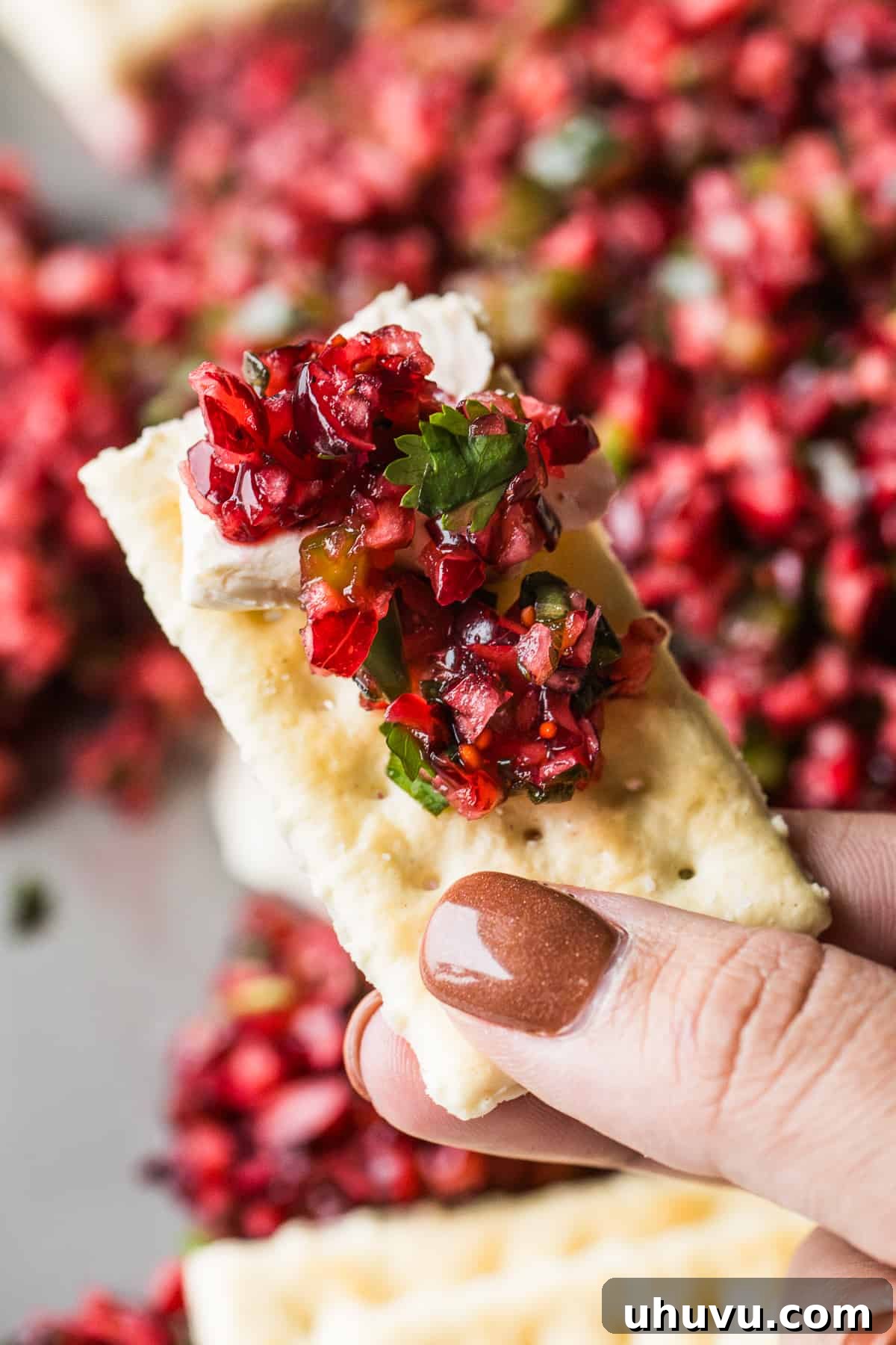 Tangy Cranberry Salsa 9 Close-up of cranberry salsa served on a buttery cracker, ready to be enjoyed.