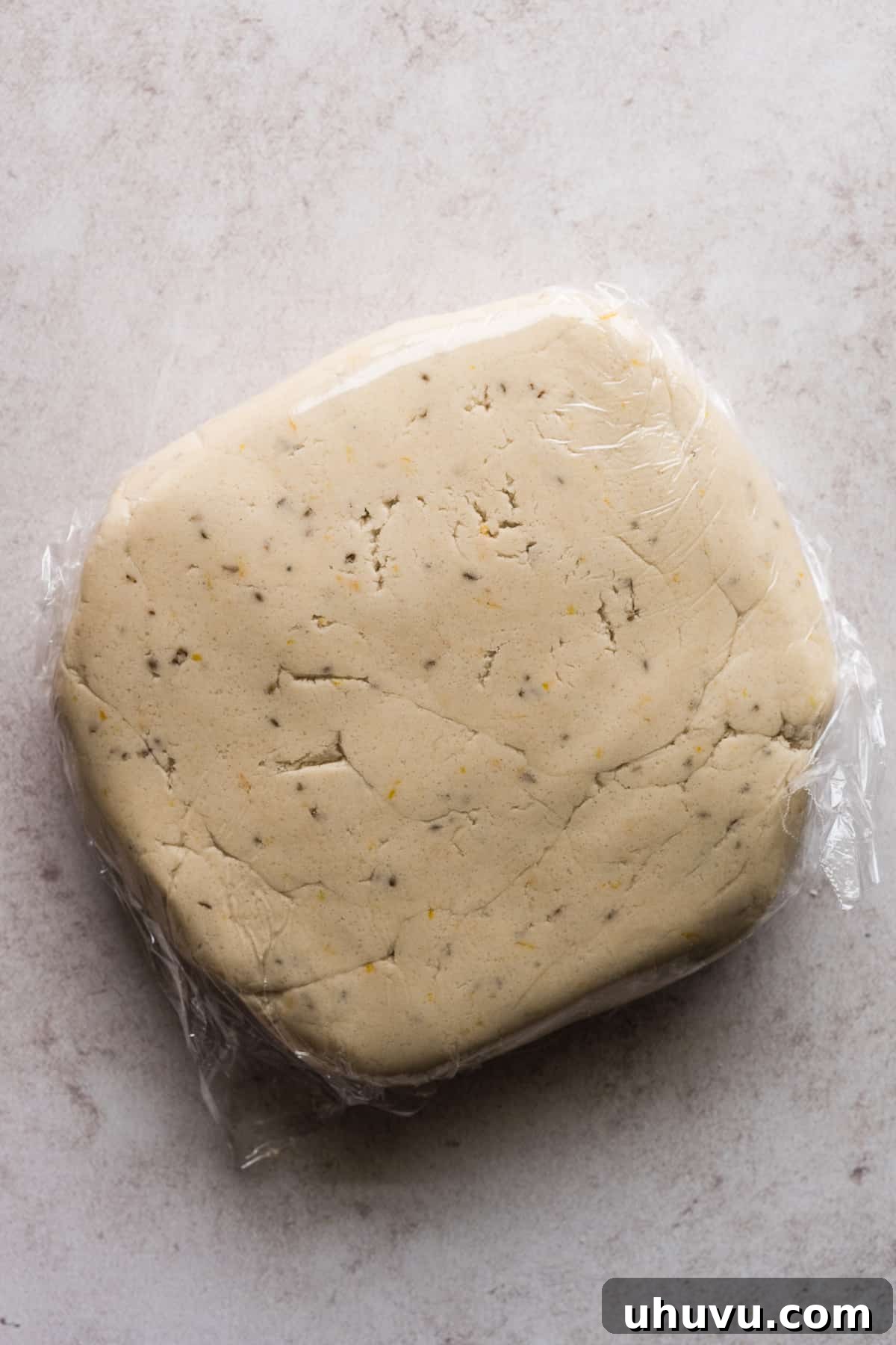 Biscochito dough wrapped in plastic wrap.