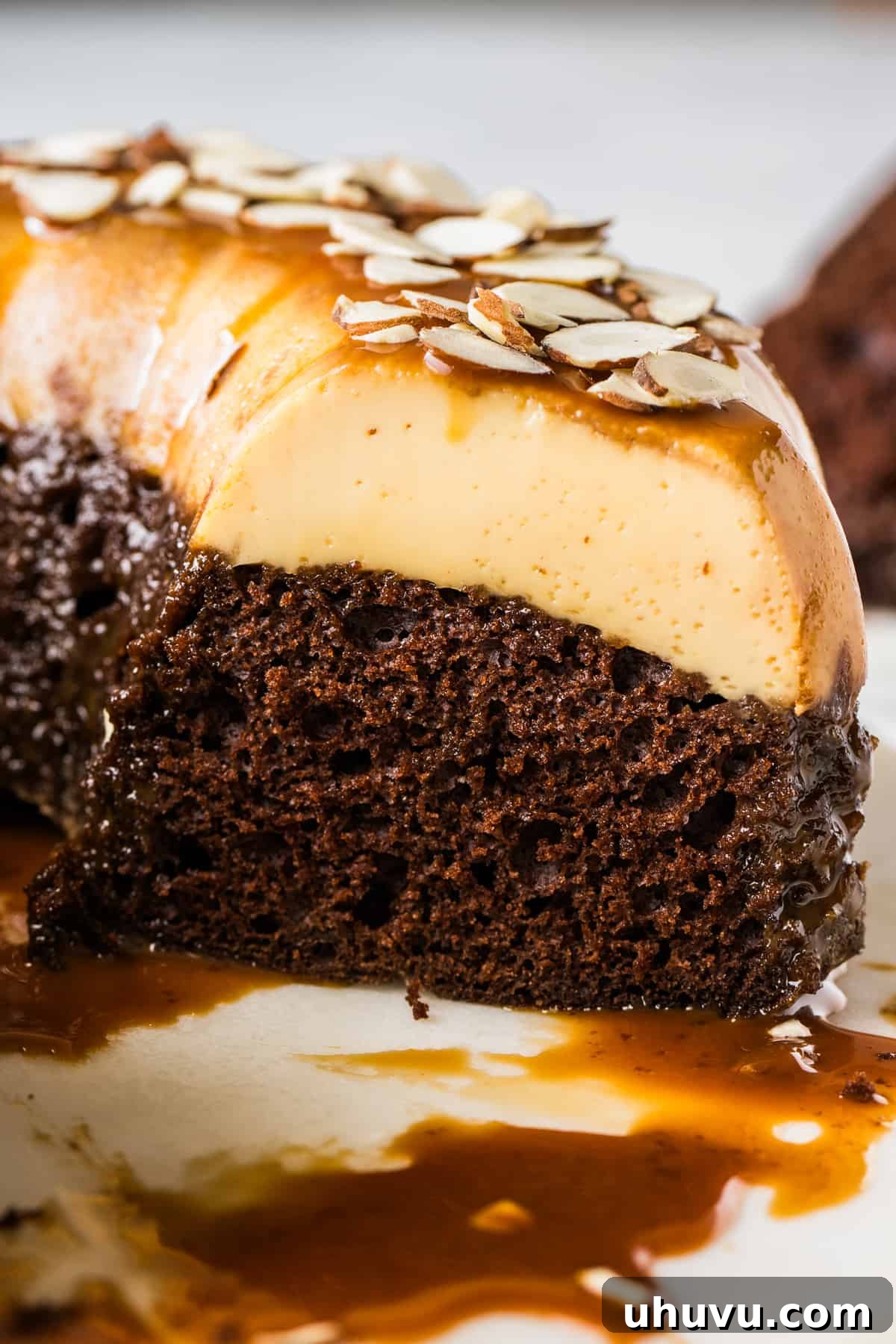 Chocolate Flan Fusion 2 A slice of chocoflan showcasing its distinct, inverted layers of rich chocolate cake and creamy flan, topped with a delicate caramel drizzle.