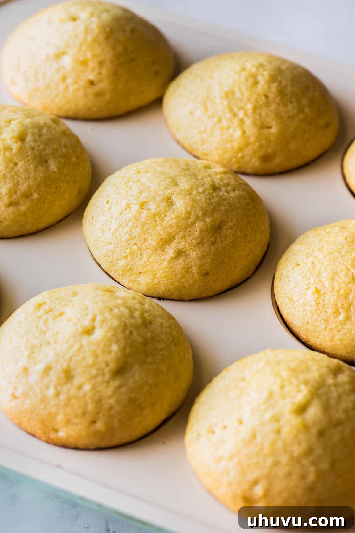 Spanish Muffins 9 Freshly baked Mantecadas in a muffin tin, with golden brown tops.