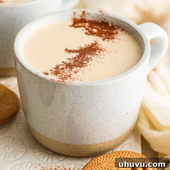 Atole de galletas Maria on a table garnished with ground cinnamon.