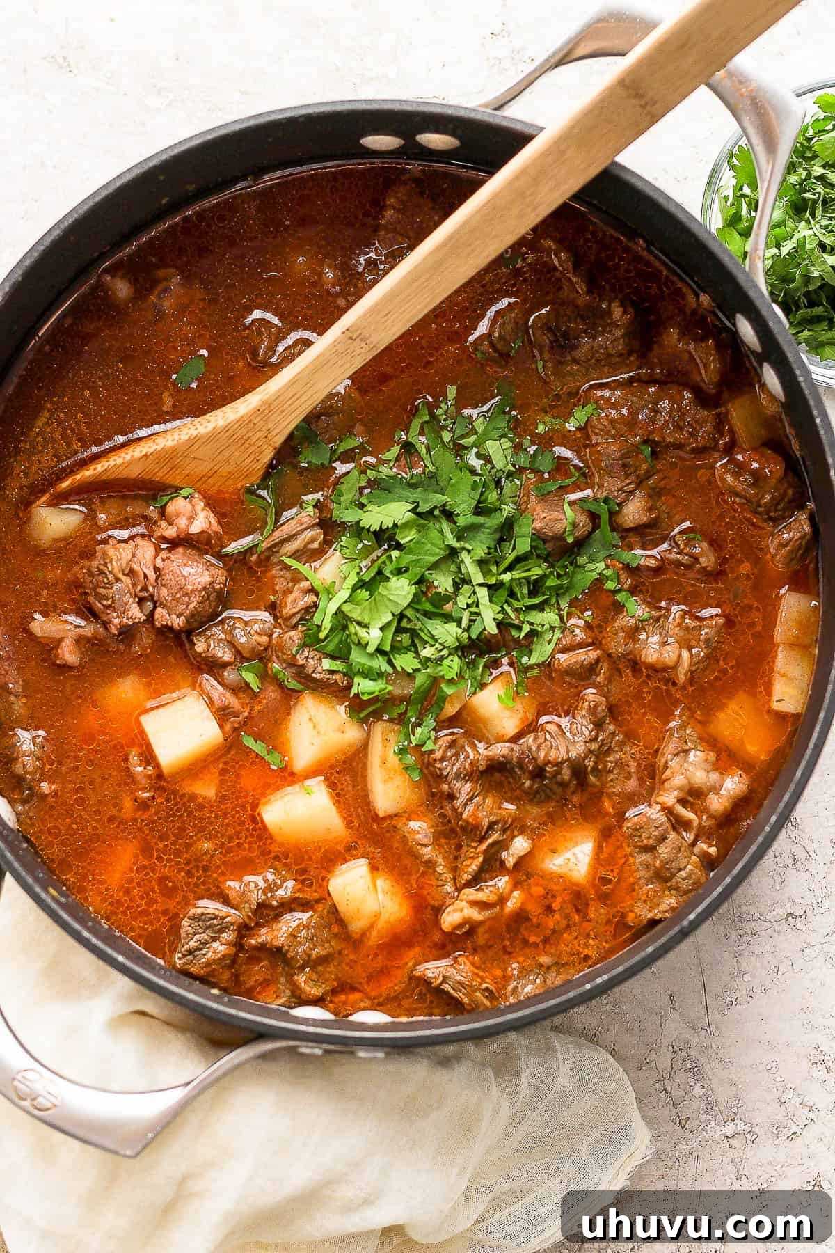 Homestyle Beef and Potatoes 2 A large pot filled with delicious Carne con Papas, garnished with fresh cilantro, ready to be served.