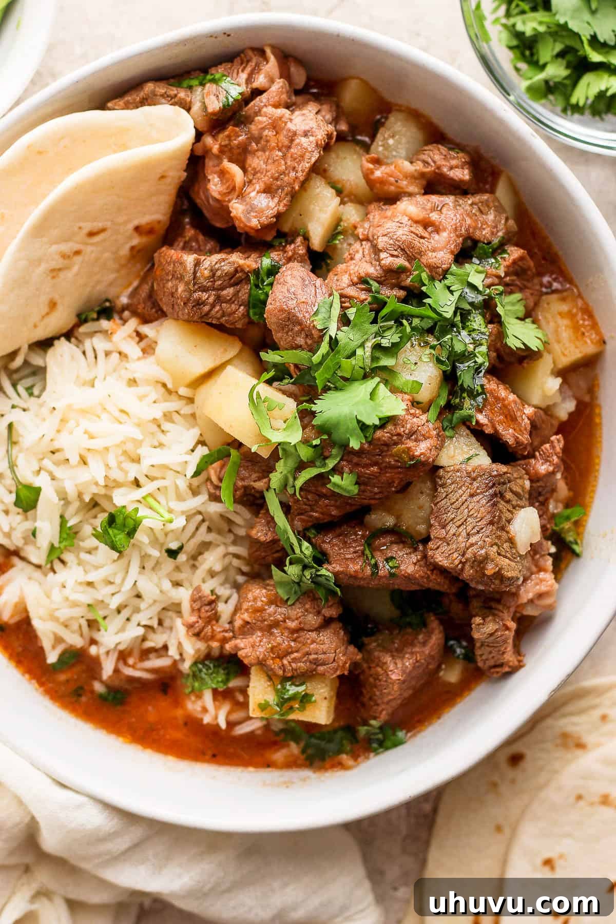 Homestyle Beef and Potatoes 9 A hearty bowl of Carne con Papas, garnished with fresh cilantro, served alongside fluffy rice and warm flour tortillas, inviting you to a comforting meal.