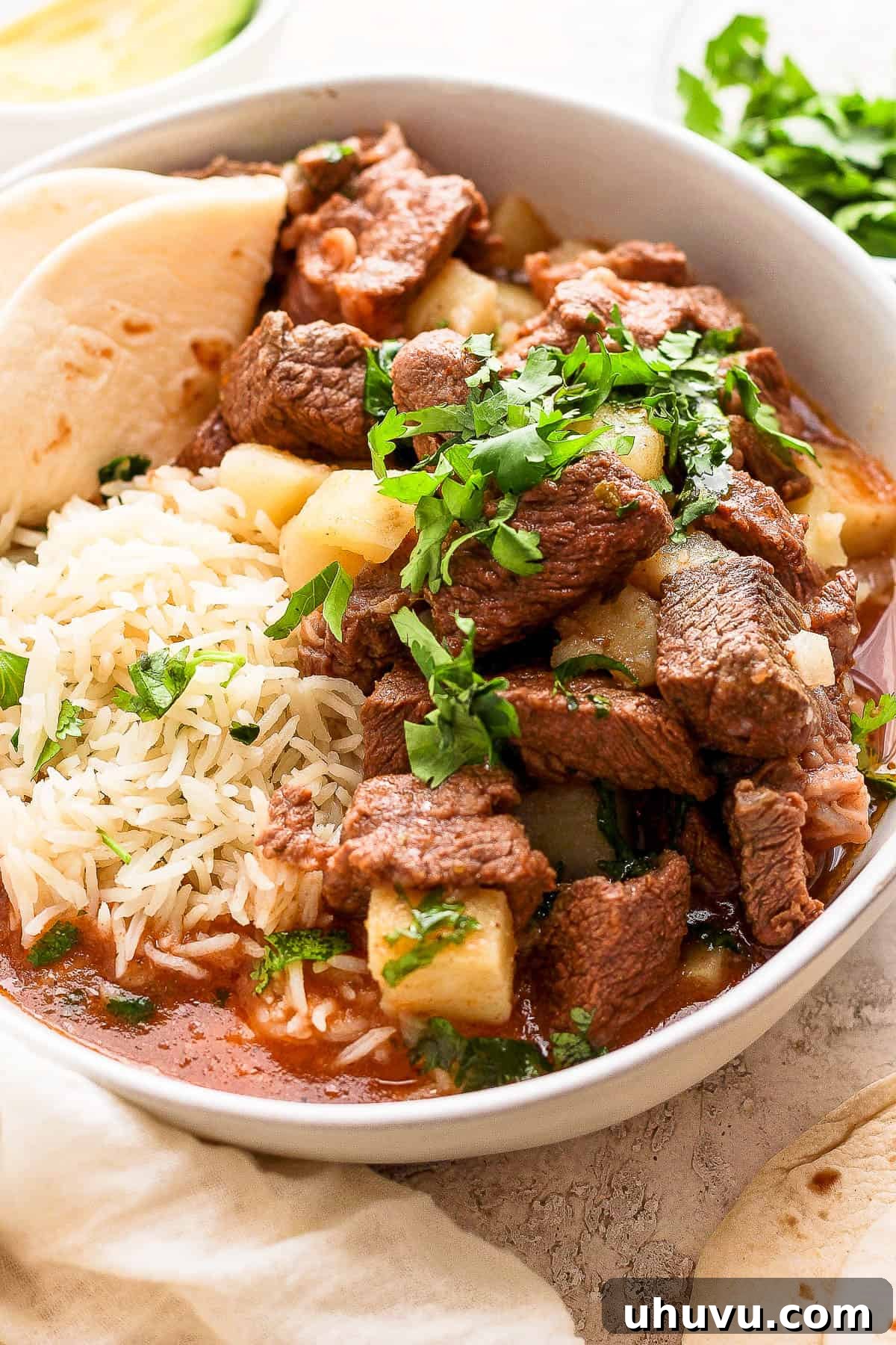 Homestyle Beef and Potatoes 10 A close-up of Carne con Papas in a bowl, generously garnished with fresh cilantro leaves, highlighting its rustic appeal and aromatic finish.