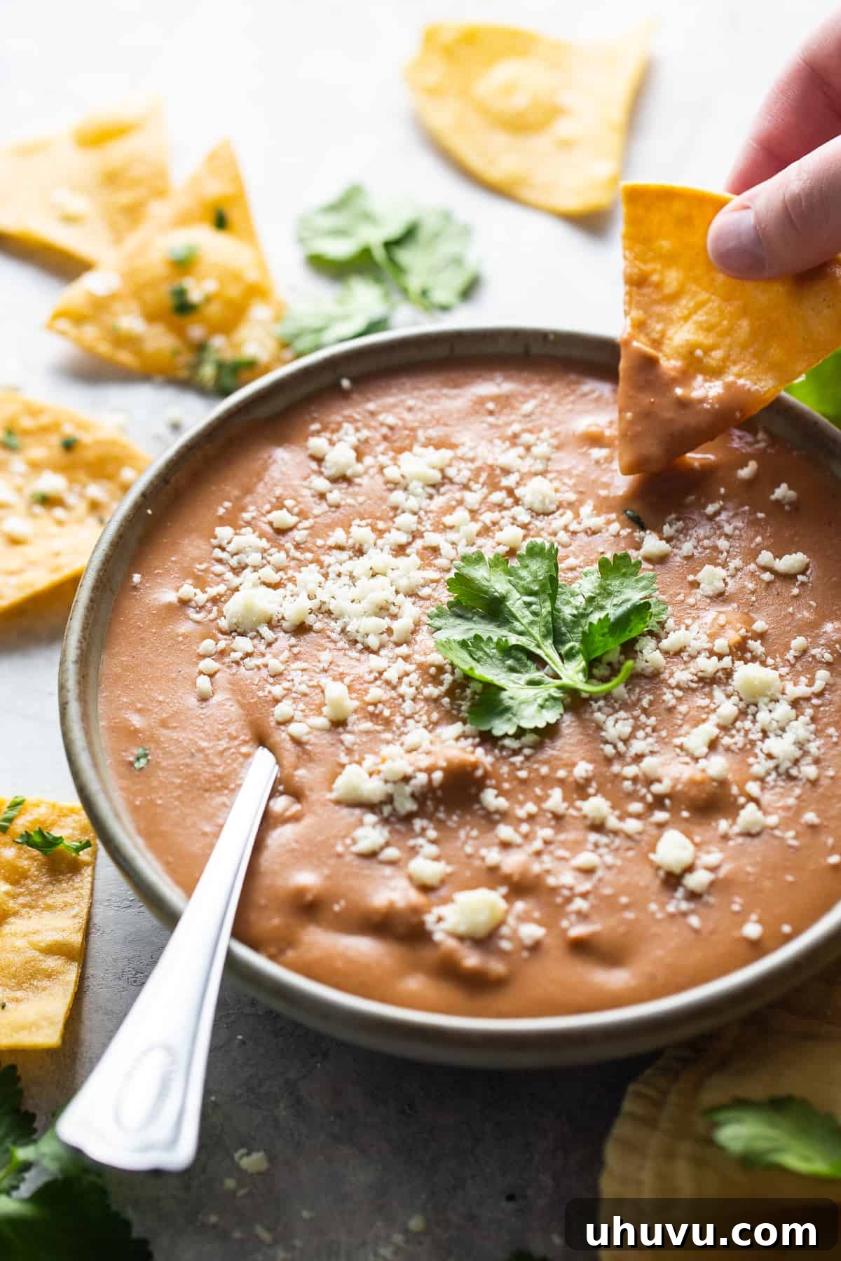 Top 20 Irresistible Mexican Bites for Your Epic Fiesta 17 Frijoles Puercos, garnished with cotija cheese and fresh cilantro, served in a bowl.