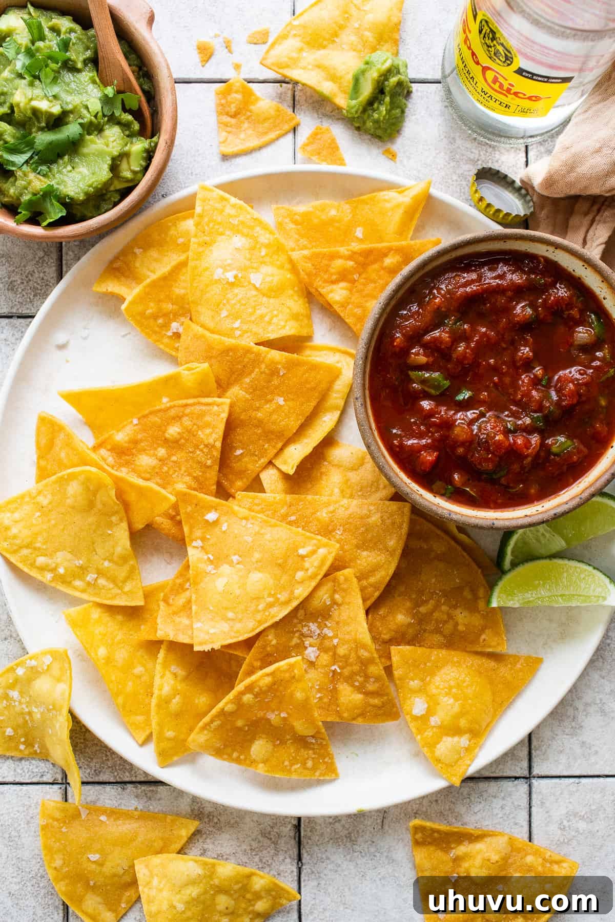 Top 20 Irresistible Mexican Bites for Your Epic Fiesta 20 A plate of perfectly golden, crispy homemade tortilla chips with sea salt, served with fresh salsa.