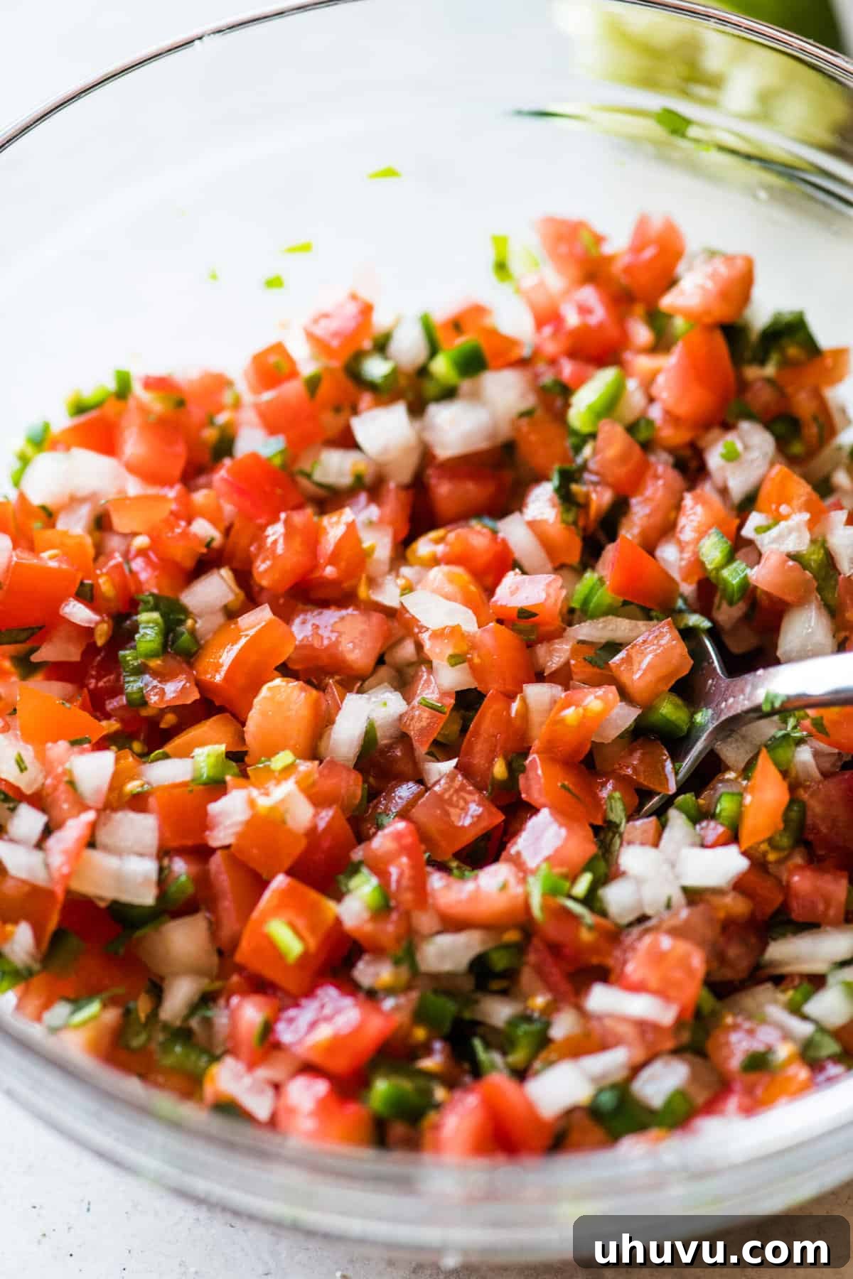 Top 20 Irresistible Mexican Bites for Your Epic Fiesta 5 Fresh and colorful Pico de Gallo in a bowl, ready to be served.