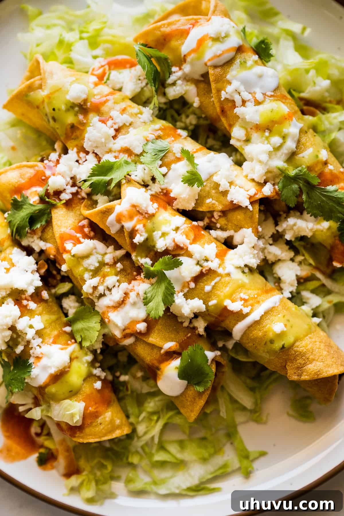Top 20 Irresistible Mexican Bites for Your Epic Fiesta 7 Crispy chicken flautas, topped with crema, cotija cheese, and hot sauce.