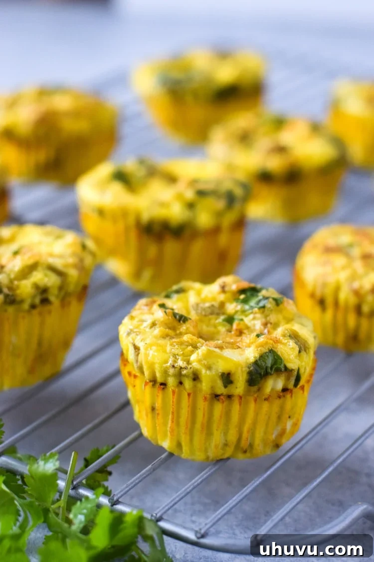 Southwest Chicken Chile Egg Cups 2 Easy, healthy and filling Chicken and Green Chile Egg Muffins - ready in only 30 minutes, this on-the-go breakfast is gluten free, low carb and paleo friendly.