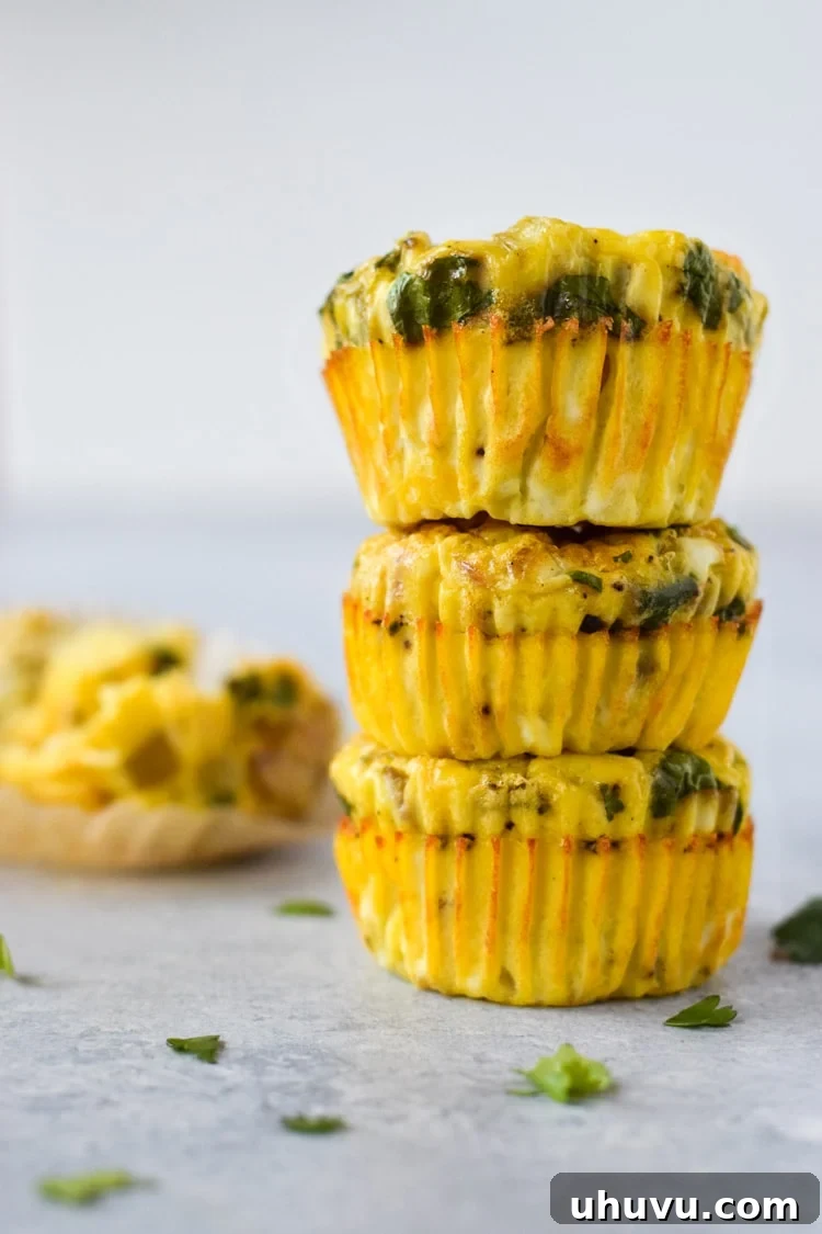 Southwest Chicken Chile Egg Cups 5 Easy, healthy and filling Chicken and Green Chile Egg Muffins - ready in only 30 minutes, this on-the-go breakfast is gluten free, low carb and paleo friendly.