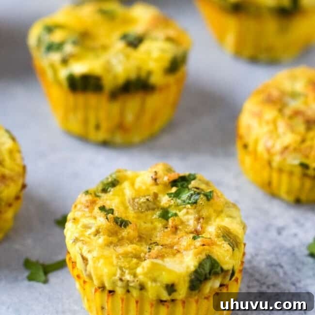 Easy, healthy and filling Chicken and Green Chile Egg Muffins