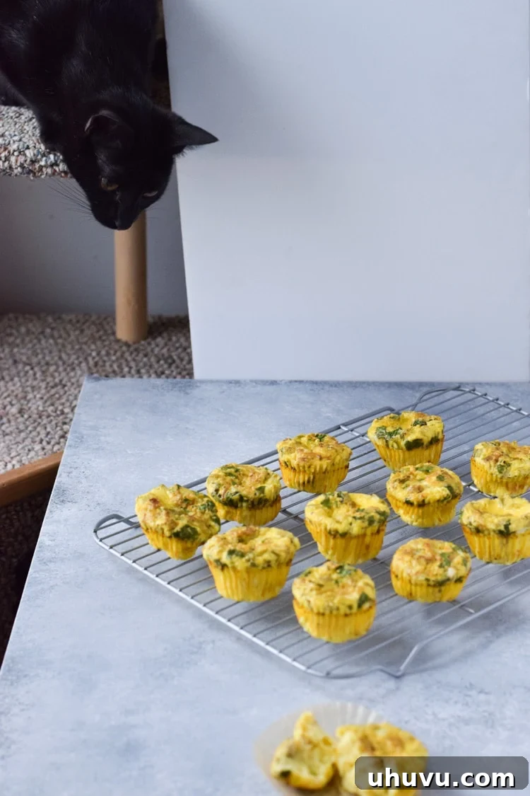 Southwest Chicken Chile Egg Cups 8 Easy, healthy and filling Chicken and Green Chile Egg Muffins - ready in only 30 minutes, this on-the-go breakfast is gluten free, low carb and paleo friendly.