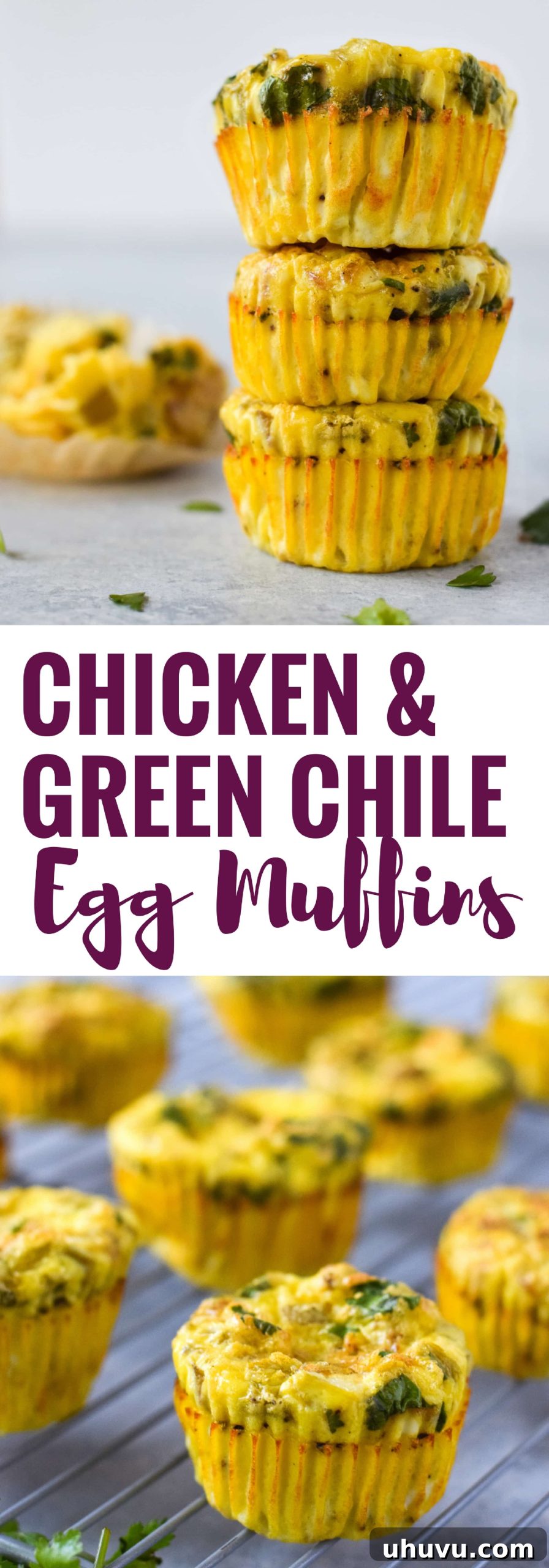 Southwest Chicken Chile Egg Cups 9 Easy, healthy and filling Chicken and Green Chile Egg Muffins - ready in only 30 minutes, this on-the-go breakfast is gluten free, low carb and paleo friendly.