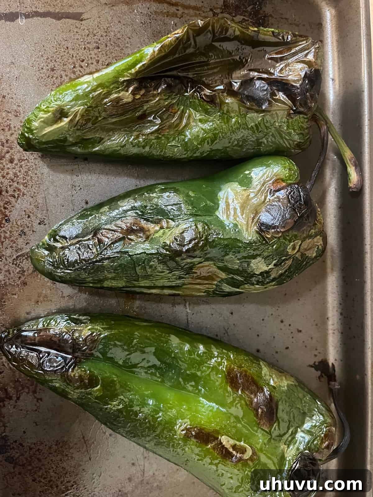 Easy Baked Chile Rellenos 4 Roasted poblano peppers on a baking sheet, ready for peeling.