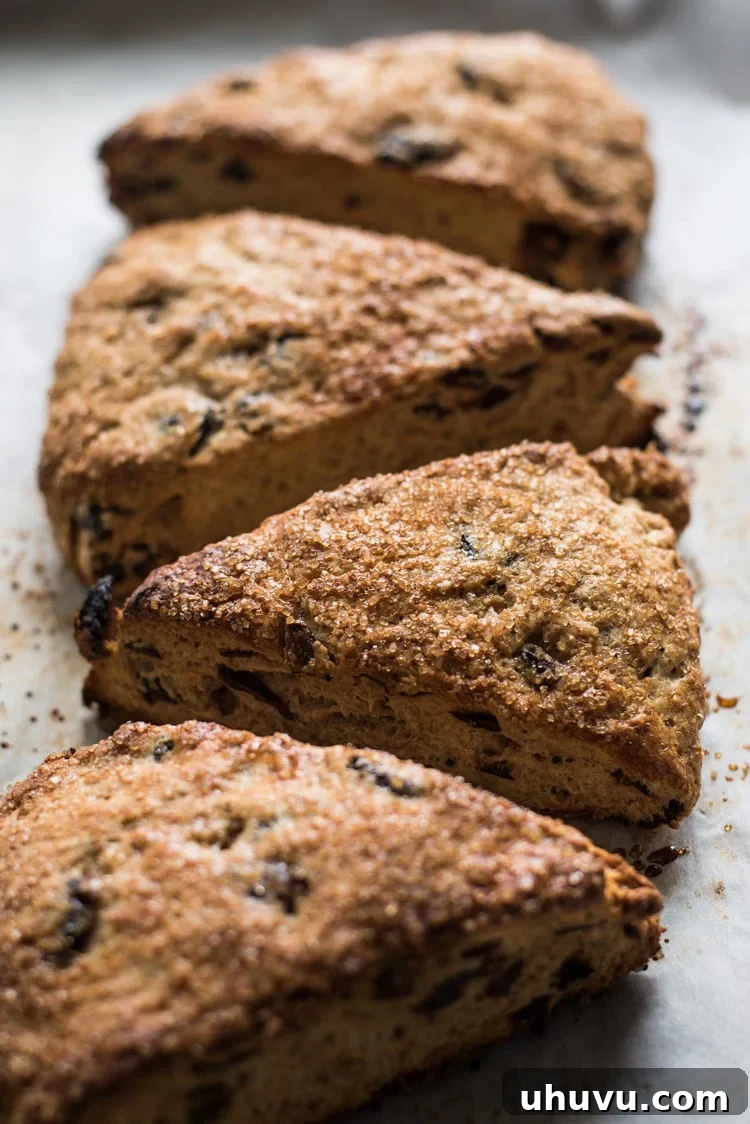 Overhead shot of freshly baked Cinnamon Honey & Fig Scones, artfully arranged and ready to be enjoyed.