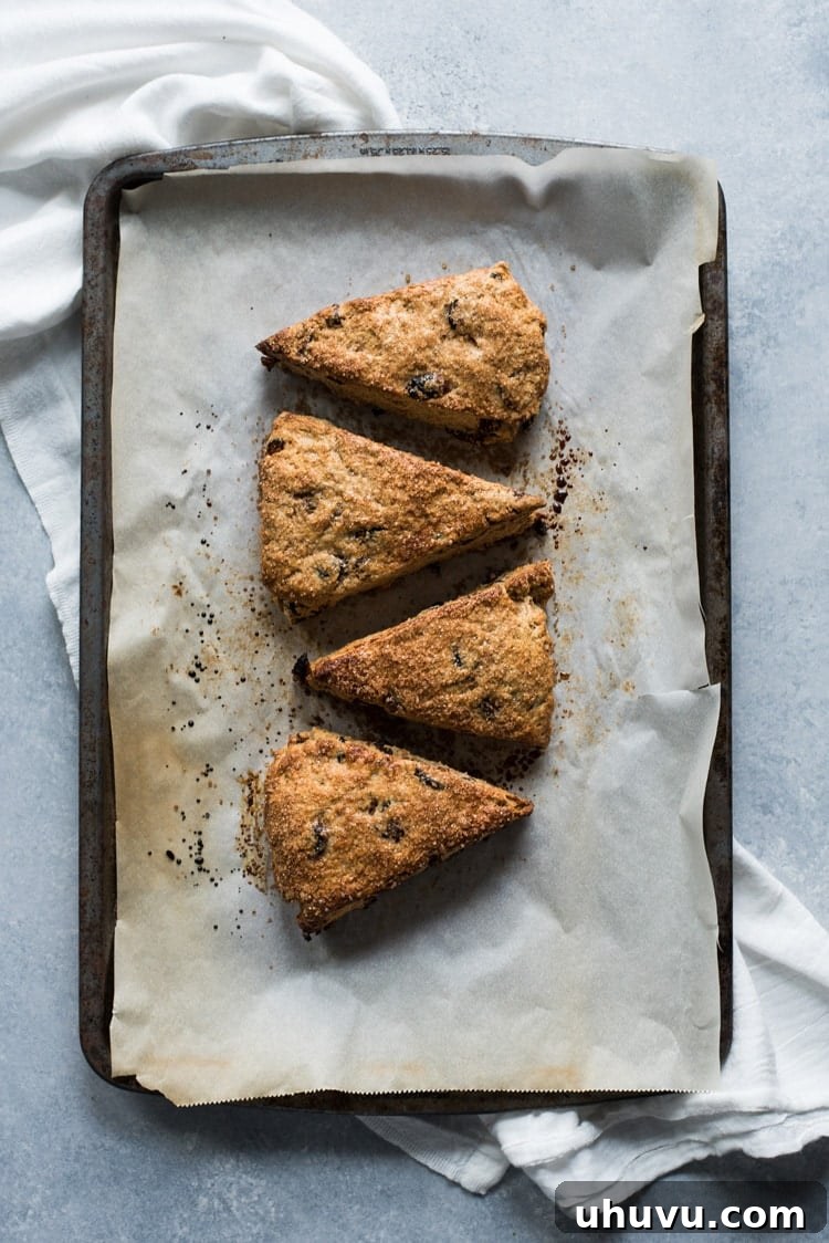 A close-up of a scone's golden-brown crust with visible turbinado sugar crystals, highlighting the inviting texture.