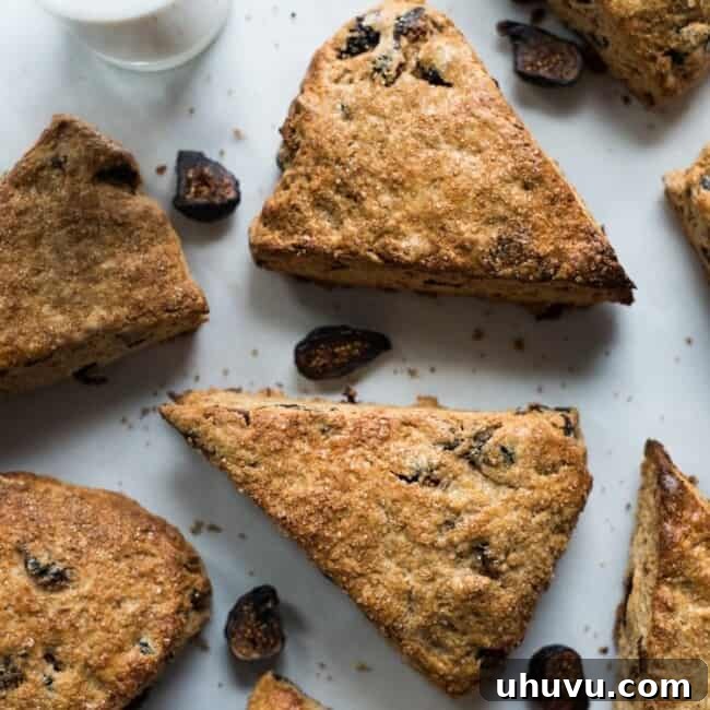 These easy to make Cinnamon Honey & Fig Scones are sweetened with honey, cinnamon and filled with black mission figs. Great for breakfast, brunch or dessert!