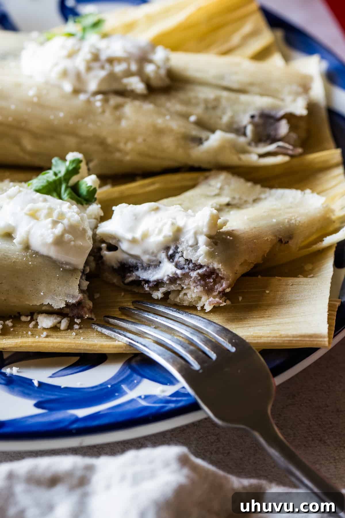 Vibrant Veggie Mexican Feasts 15 Bean and cheese tamales | 25 Vegetarian Mexican Recipes