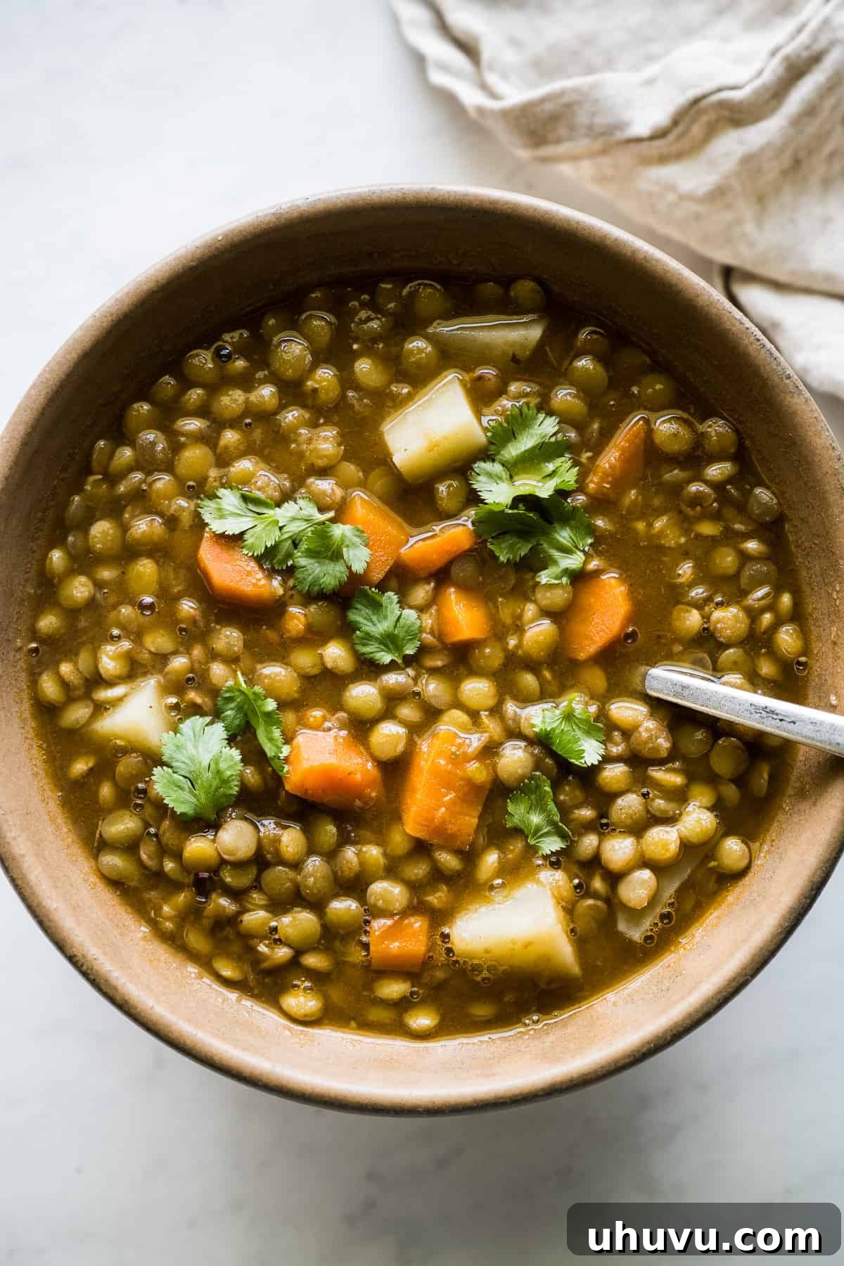 Vibrant Veggie Mexican Feasts 19 Lentejas (Mexican Lentil Soup) | 25 Vegetarian Mexican Recipes