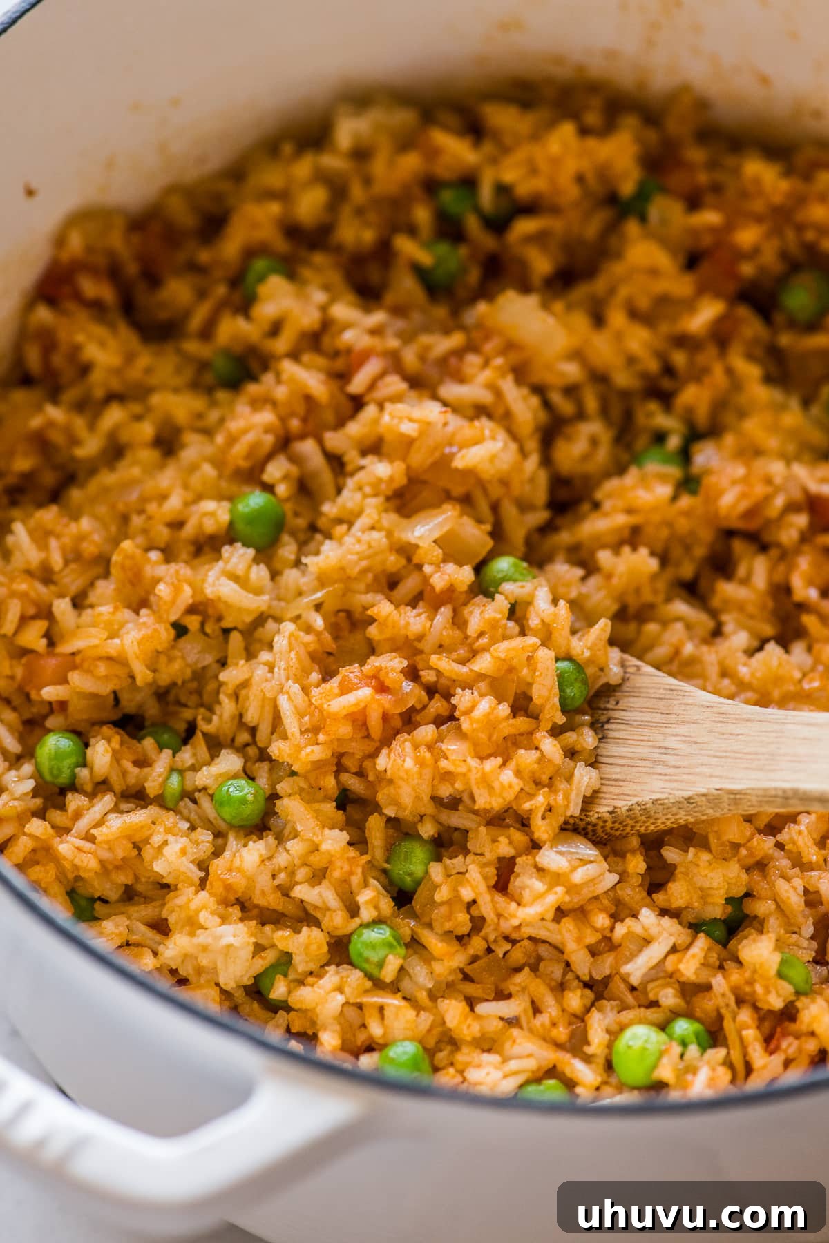 Vibrant Veggie Mexican Feasts 24 Authentic Mexican Rice | 25 Vegetarian Mexican Recipes