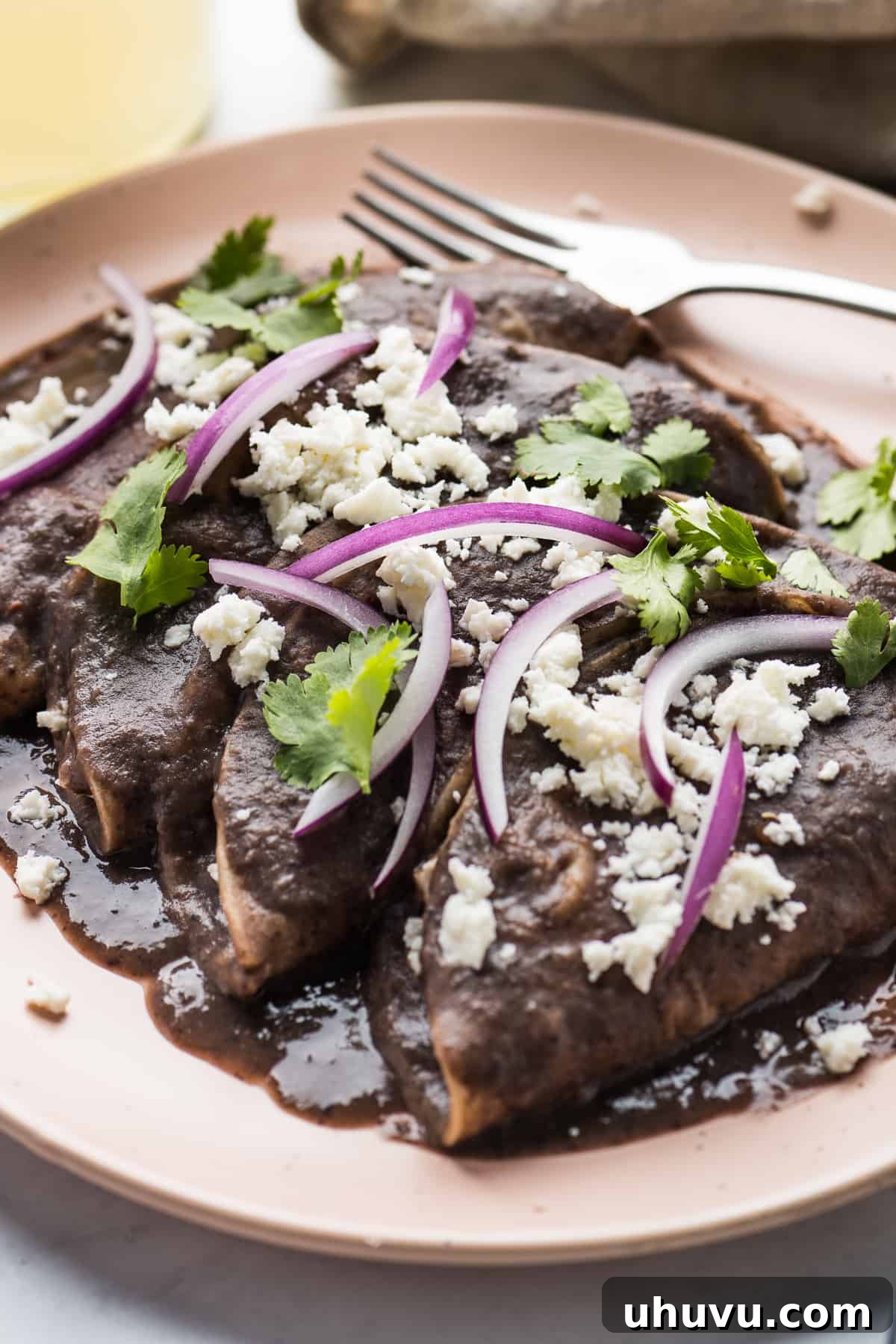 Vibrant Veggie Mexican Feasts 6 Enfrijoladas | 25 Vegetarian Mexican Recipes