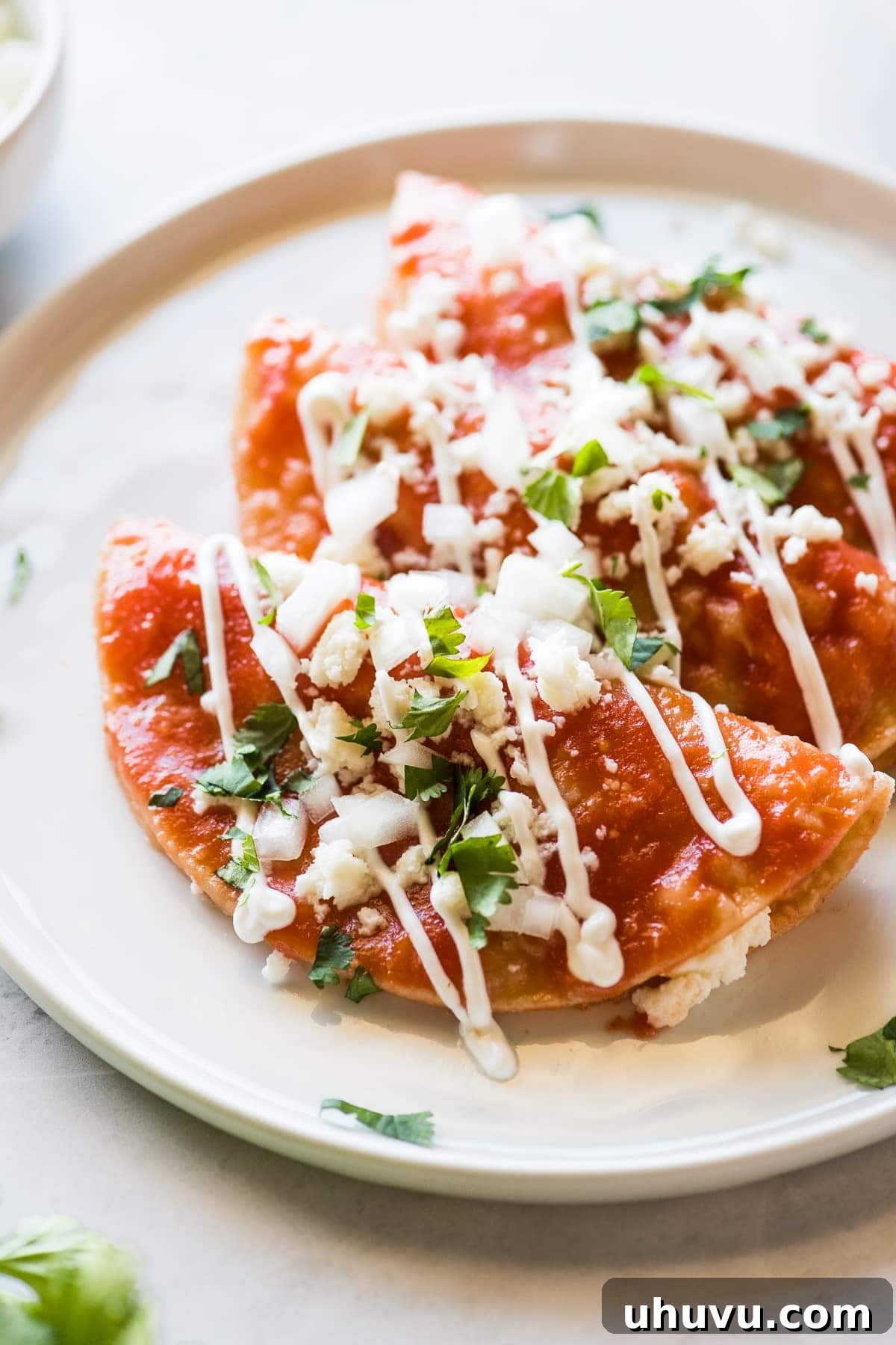 Vibrant Veggie Mexican Feasts 7 Entomatadas | 25 Vegetarian Mexican Recipes