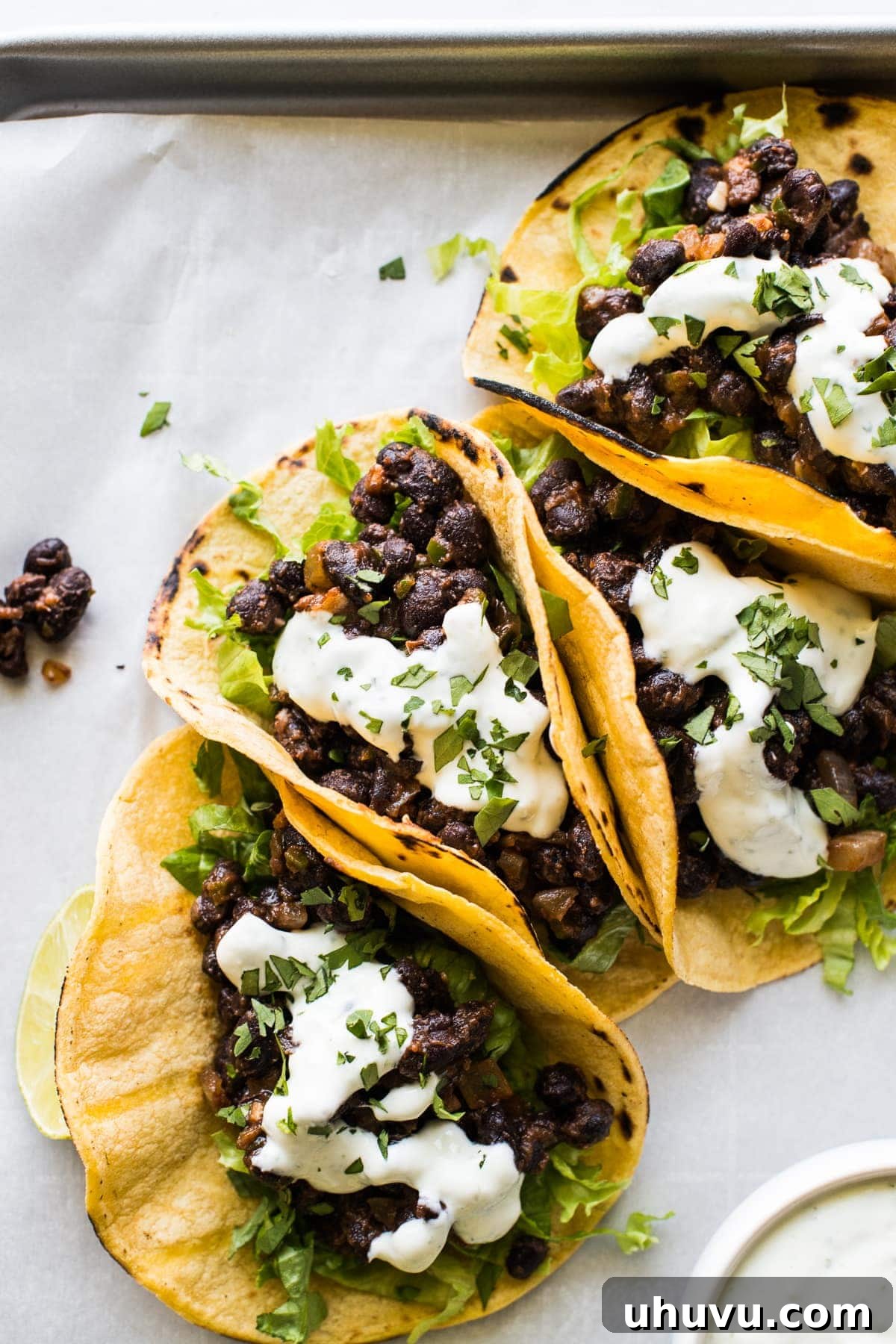 Vibrant Veggie Mexican Feasts 8 Black Bean Tacos | 25 Vegetarian Mexican Recipes
