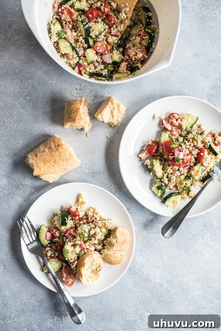 A close-up of a single serving of Mexican Quinoa Salad, ready to be enjoyed.