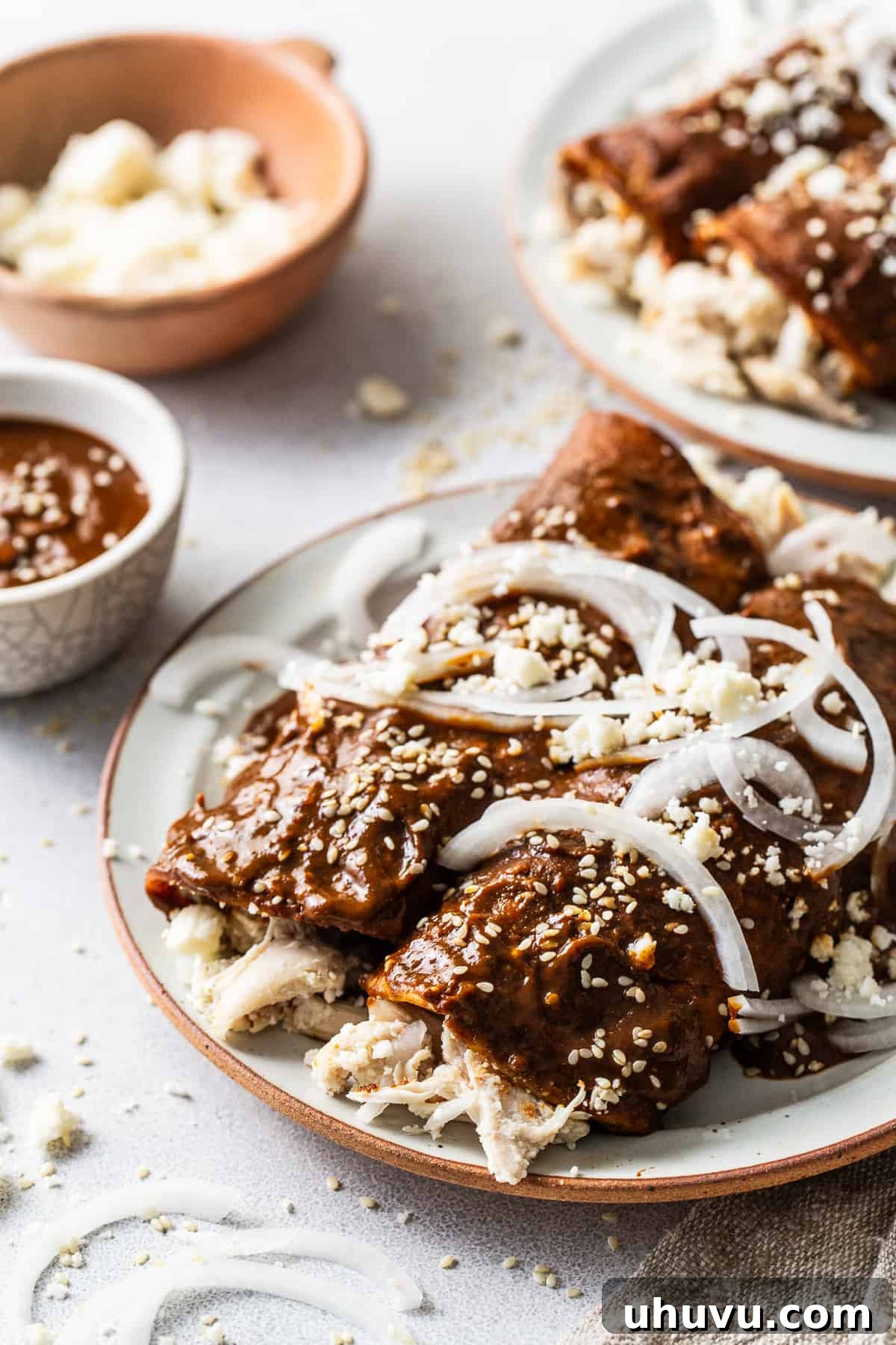 Mexican Mole Bliss 8 A close-up shot of a plate of Enmoladas, revealing the rich mole sauce, tender shredded chicken peeking out, and fresh garnishes, inviting a delicious taste.